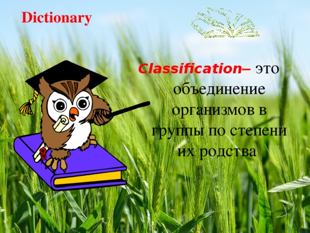 Dictionary Classification – это объединение организмов в группы по степени их родства