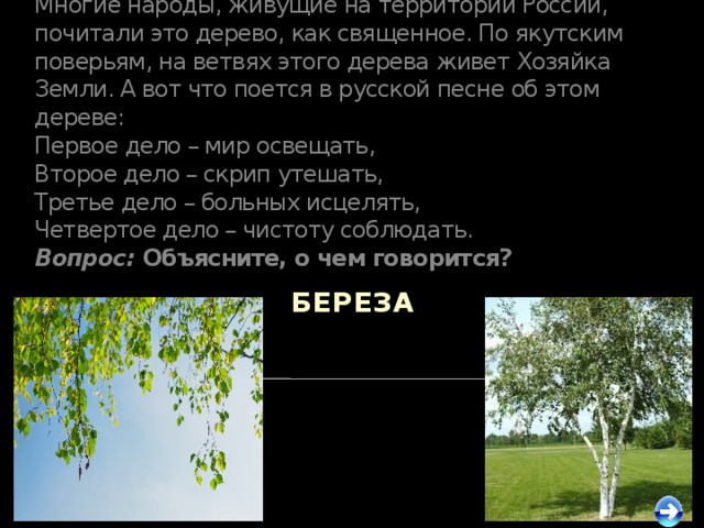 Многие деревья живут. Многие народы живущие на территории России почитали это дерево. Дерево считается священным. Какие народы живут на деревьях. Священное дерево России Священное в России.