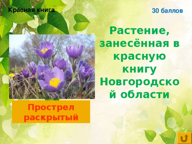 Растения из красной книги нижегородской области фото и описание