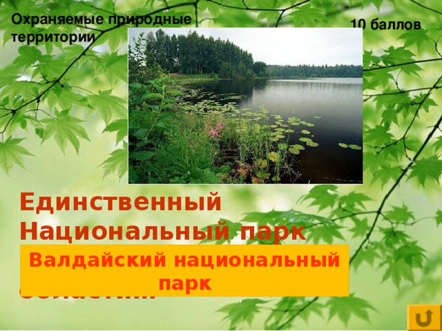 Охраняемые природные территории 1 0 баллов Единственный Национальный парк Новгородской области… Валдайский национальный парк