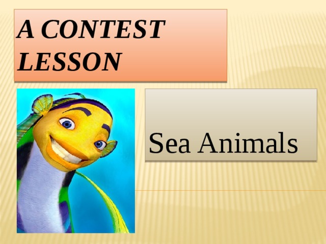 A Contest Lesson Sea Animals