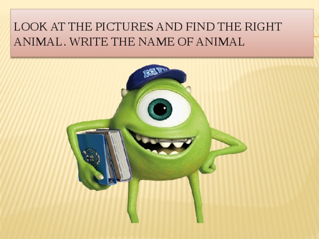 Look at the pictures and find the right animal. Write the name of animal