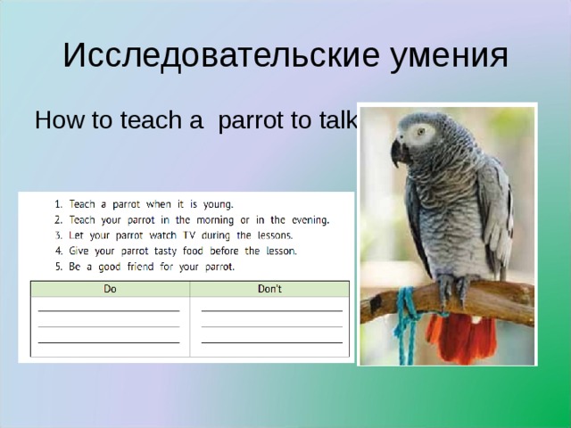 Исследовательские умения How to teach a parrot to talk.