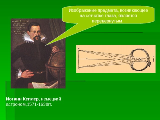 Изображение предмета, возникающее на сетчатке глаза, является перевернутым. Иоганн  Кеплер , немецкий астроном,1571-1630гг.