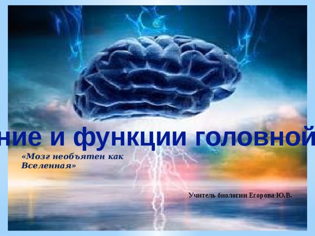 Строение и функции головной мозга «Мозг необъятен как Вселенная»      Учитель биологии Егорова Ю.В.