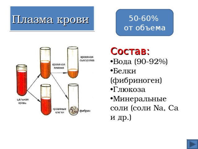 Плазма крови 50-60% от объема Состав: