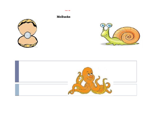 Lesson  topic   Mollusks