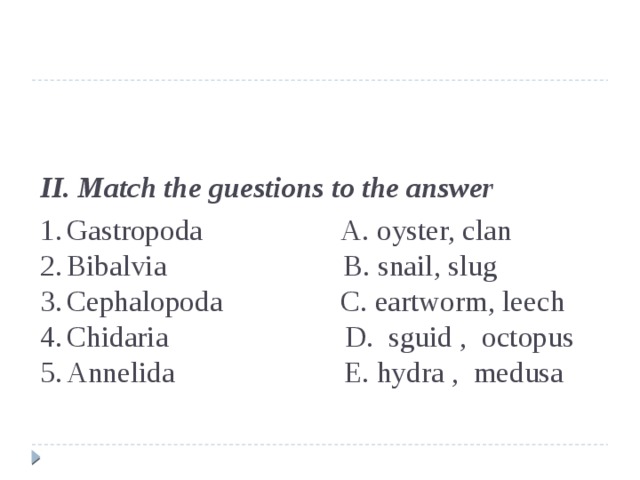 II. Match the guestions to the answer   1.  Gastropoda A. oyster, clan  2.  Bibalvia B. snail, slug  3.  Cephalopoda C. eartworm, leech  4.  Chidaria D. sguid , octopus  5.  Annelida E. hydra , medusa