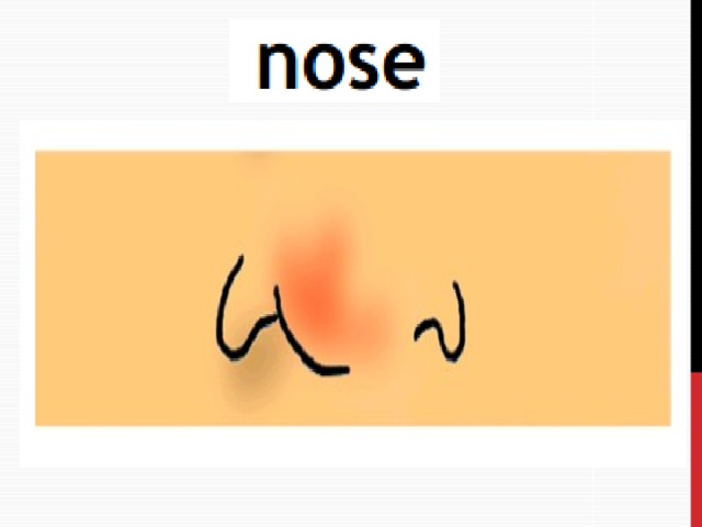 He s got nose. Small nose картинка. Nose на английском. Small nose для детей. Спотлайт 2 тема части тела.