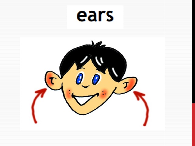 He s got big ears. Изображение большого уха. Части лица спотлайт 2 класс. Ears для урока английского языка. Внешность 2 класс спотлайт.