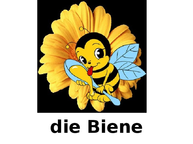 die Biene