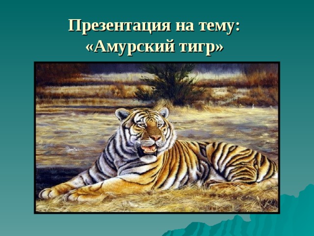 Презентация на тему: «Амурский тигр»