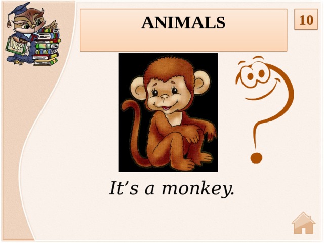 Animals 10  It’s a monkey.