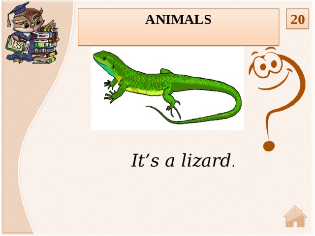 Animals 20  It’s a lizard .