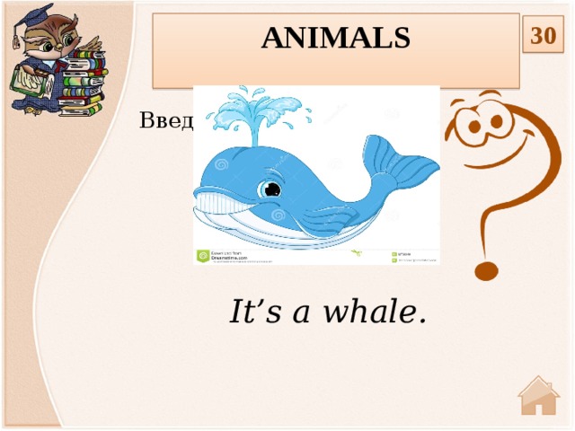 Animals  30 Введите вопрос It’s a whale.