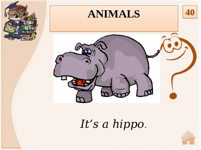 Animals 40  It’s a hippo .