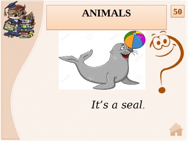 Animals 50  It’s a seal .