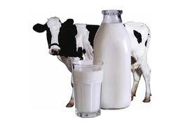 О пользе молока для листовки