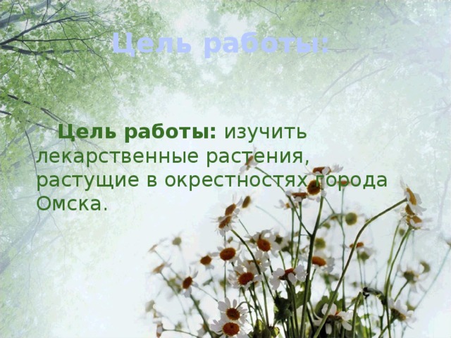 Цель работы:  Цель работы: изучить лекарственные растения, растущие в окрестностях города Омска.