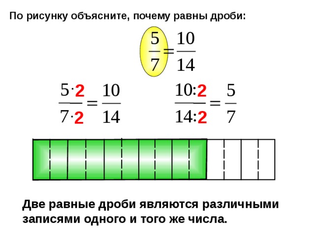 По рисунку объясните, почему равны дроби: 2 2 2 2 Математика 6 класс. Н.Я.Виленкин. №202 Две равные дроби являются различными записями одного и того же числа.