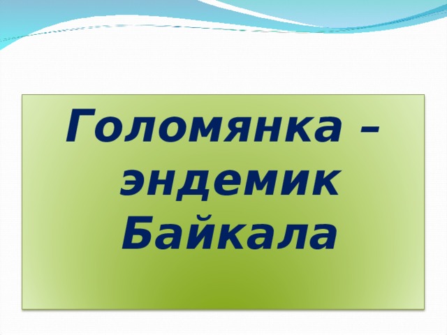 Голомянка – эндемик Байкала