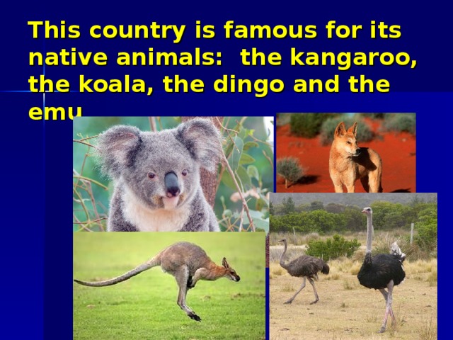 This country is famous for its native animals: the kangaroo, the koala, the dingo and the emu