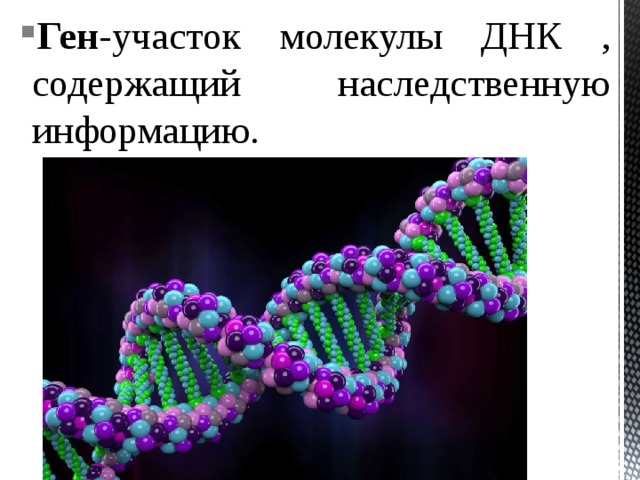Ген -участок молекулы ДНК , содержащий наследственную информацию.