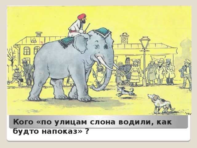 Кого «по улицам слона водили, как будто напоказ» ?