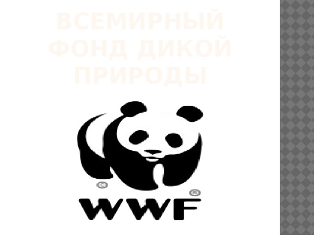 Всемирный фонд дикой природы