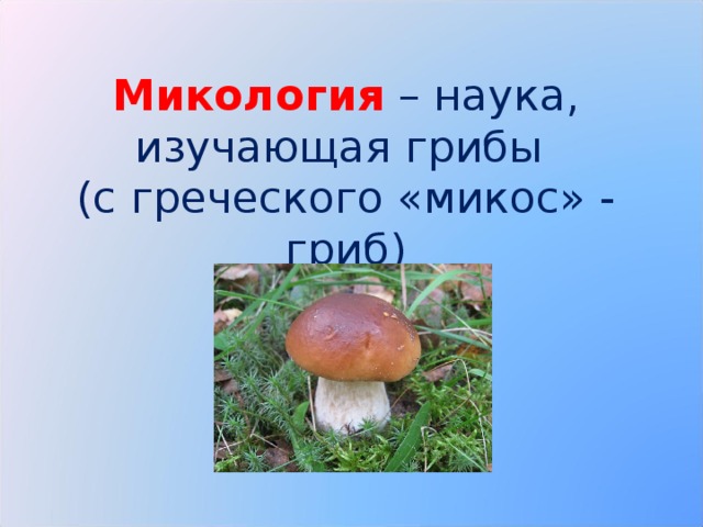 Микология  – наука, изучающая грибы  (с греческого «микос» - гриб)
