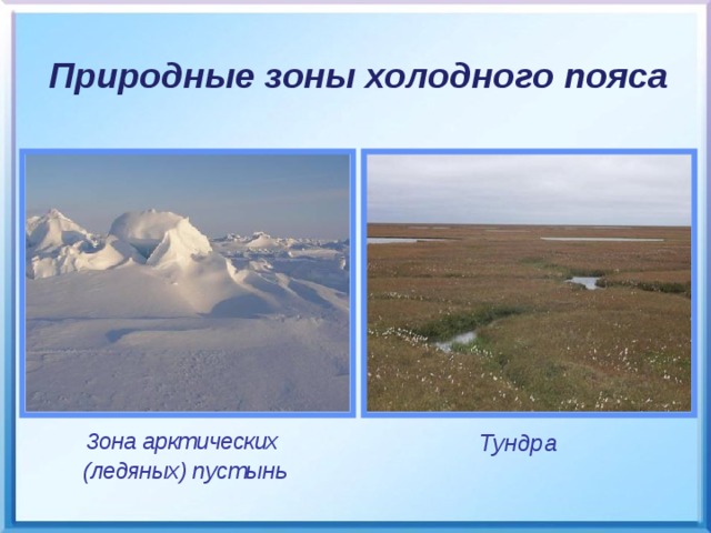 Природные зоны холодного пояса Тундра Зона арктических  (ледяных) пустынь