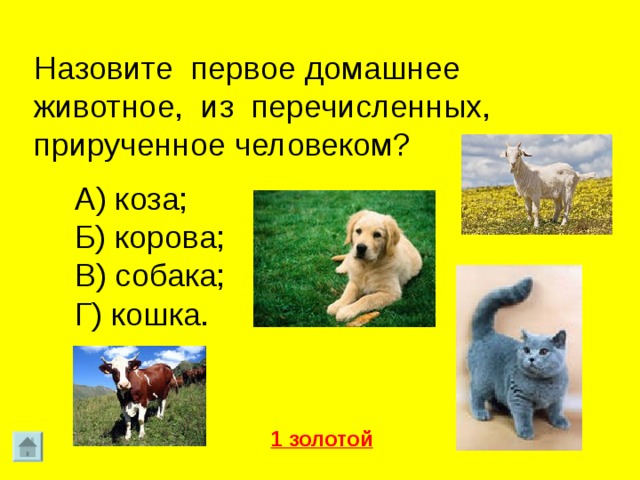 Назовите первое домашнее животное, из перечисленных, прирученное человеком? А) коза; Б) корова; В) собака; Г) кошка. 1 золотой