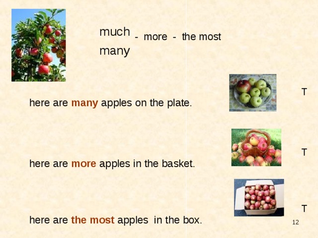 much  - more - the most  many  There are many apples on the plate. There are more apples in the basket. There are the most apples in the box.