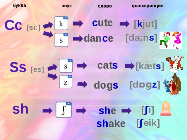 буква транскрипция звук слово Cc [si:]  c ute [ k jut]   [da:n s ] dan c e  Ss [es]  cat s [kæt s ]   [d ɒg z ] dog s sh [ ʃ i]  sh e    [ ʃ eik]  sh ake