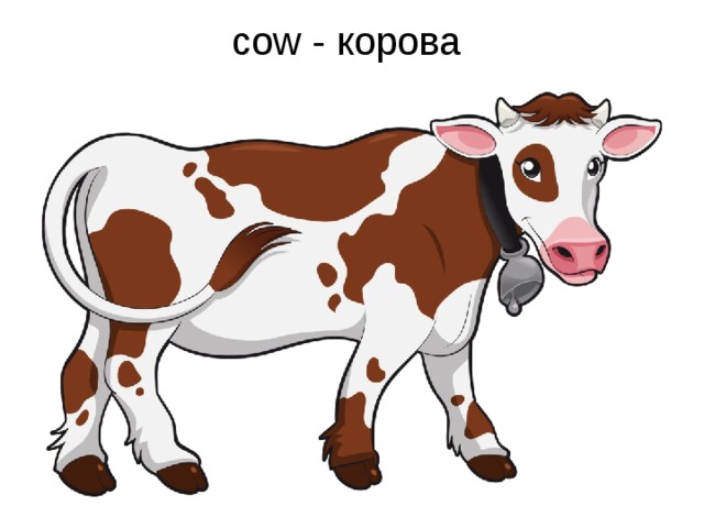 cow - корова
