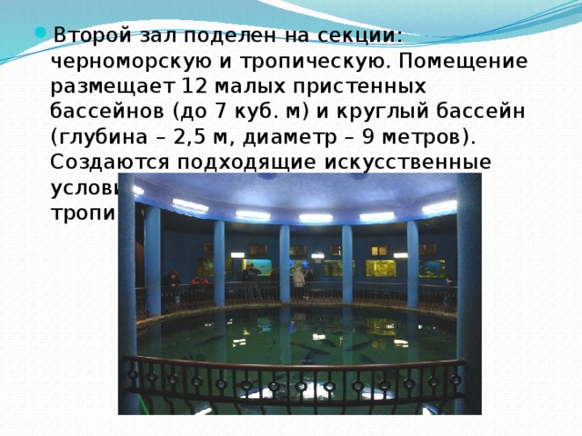 Второй зал поделен на секции: черноморскую и тропическую. Помещение размещает 12 малых пристенных бассейнов (до 7 куб. м) и круглый бассейн (глубина – 2,5 м, диаметр – 9 метров). Создаются подходящие искусственные условия, где можно содержать даже тропических акул.