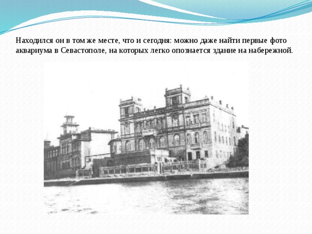 Находился он в том же месте, что и сегодня: можно даже найти первые фото аквариума в Севастополе, на которых легко опознается здание на набережной.
