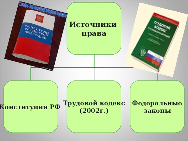 Источники  права Конституция  РФ  Трудовой кодекс (2002г.) Федеральные законы
