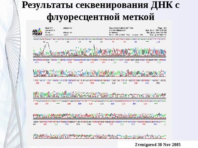 Результаты  секвенирования ДНК с флуоресцентной меткой N.Novgorod public lecture N.Novgorod public lecture , 4 Dec 2004 Zvenigorod 30 Nov 2005