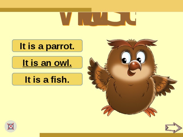 It is a parrot. It is an owl. It is a fish.