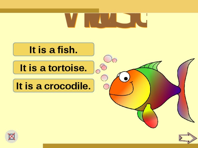 It is a fish. It is a tortoise. It is a crocodile.