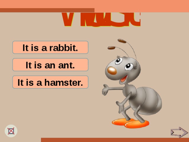 It is a rabbit. It is an ant. It is a hamster.