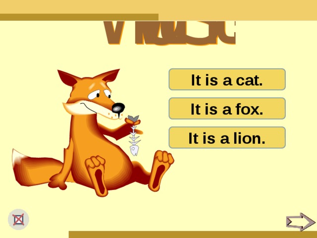 It is a cat. It is a fox. It is a lion.