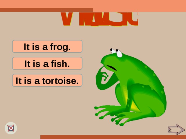 It is a frog. It is a fish. It is a tortoise.