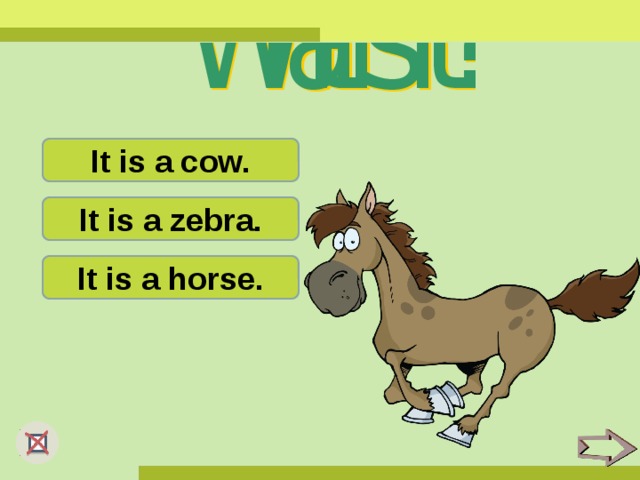 It is a cow. It is a zebra. It is a horse.