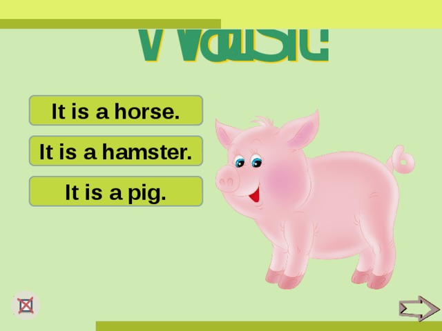 It is a horse. It is a hamster. It is a pig.