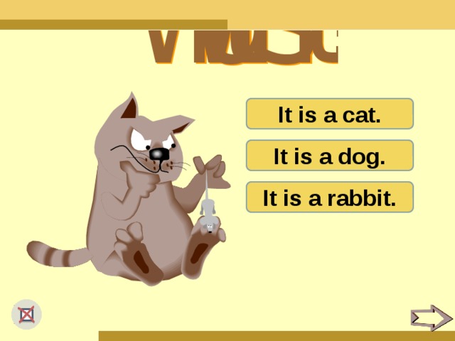 It is a cat. It is a dog. It is a rabbit.