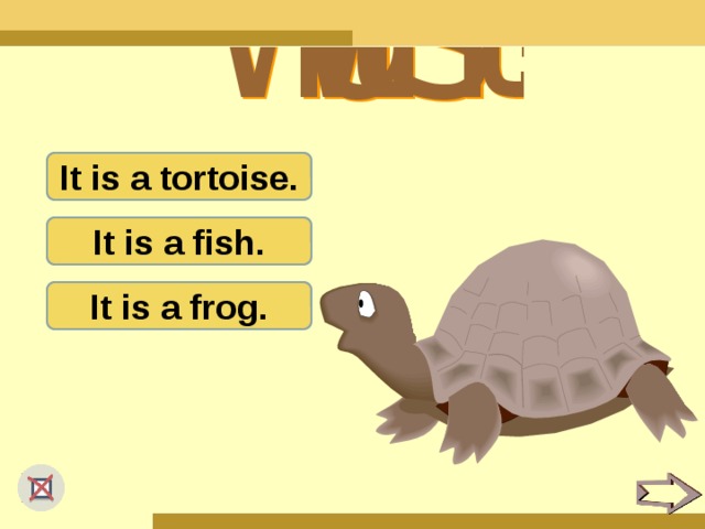 It is a tortoise. It is a fish. It is a frog.