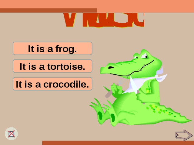 It is a frog. It is a tortoise. It is a crocodile.