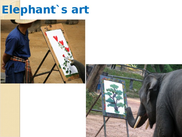 Elephant`s art
